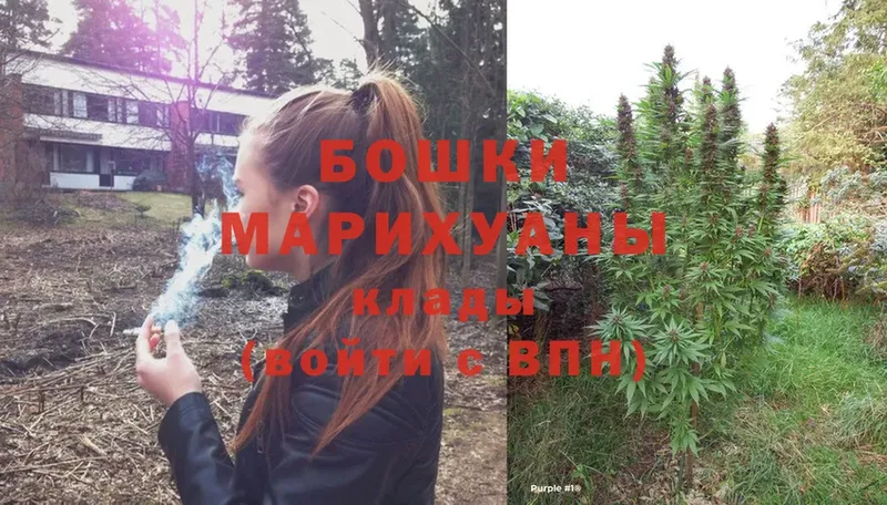 kraken маркетплейс  Новая Ляля  Бошки Шишки SATIVA & INDICA 